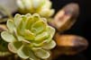 Gatewaydetails028